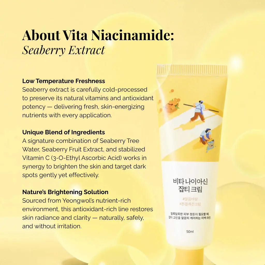 Round Lab Vita Niacinamide Dark Spot Moisturizer 50ml The CLO Beauty Bar