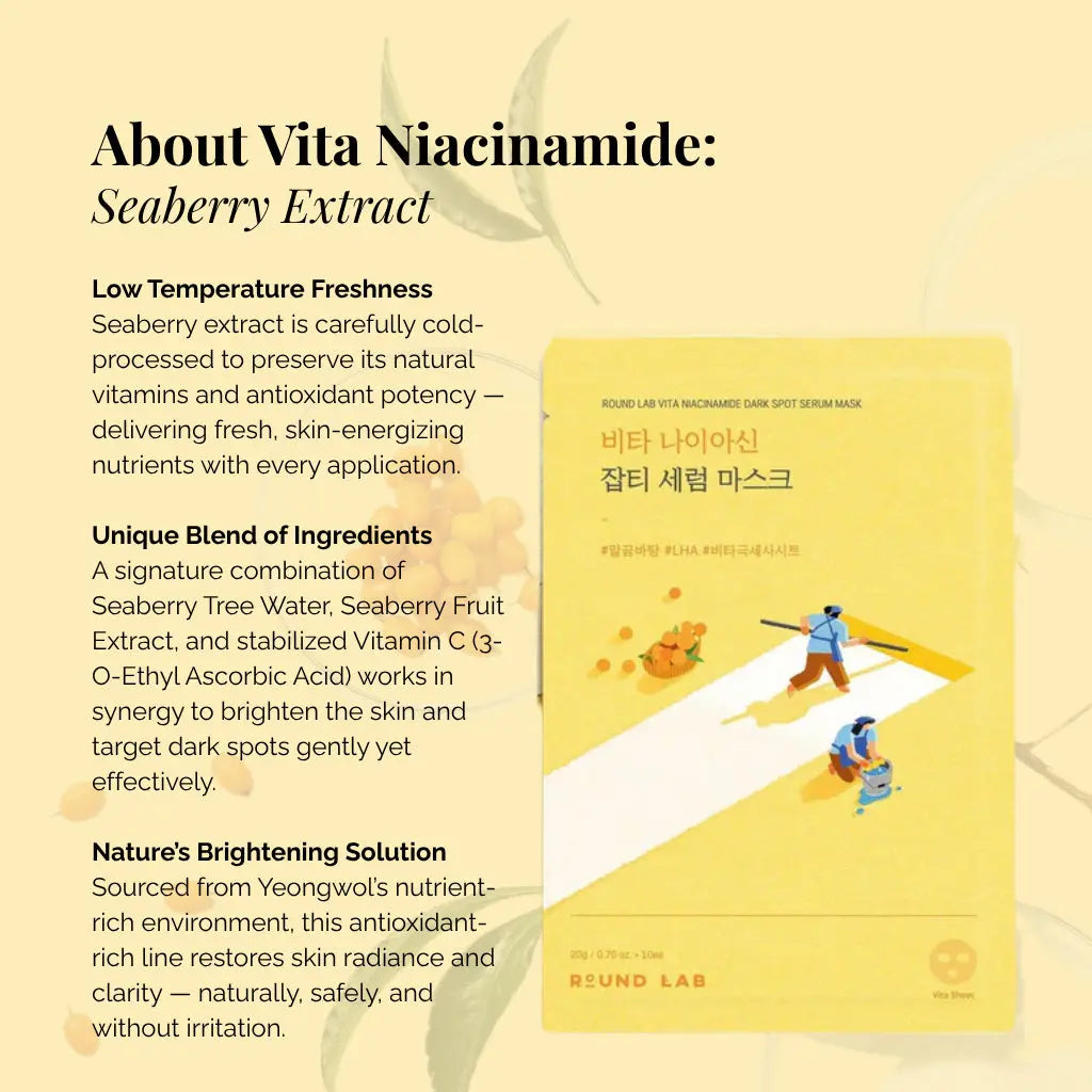 Round Lab Vita Niacinamide Dark Spot Serum Mask (10 pieces) The CLO Beauty Bar