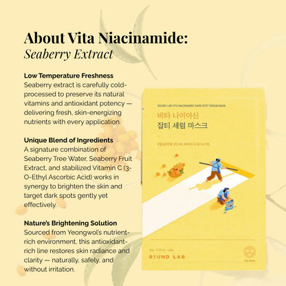 ラウンドラボ ヴィタ ナイアシンアミド ダークスポットセラムマスク - 1箱 - 10枚入り x 20ml